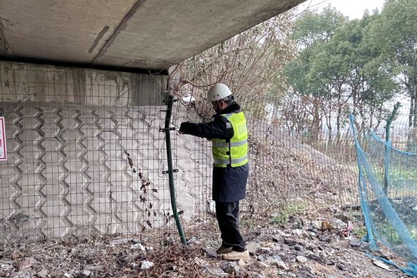 春節(jié)橋下安全檢查發(fā)現(xiàn)隔離柵破損自行修復(fù),防止行人上高速_副本.jpg 春節(jié)橋下安全檢查發(fā)現(xiàn)隔離柵破損自行修復(fù),防止行人上高速_副本.jpg